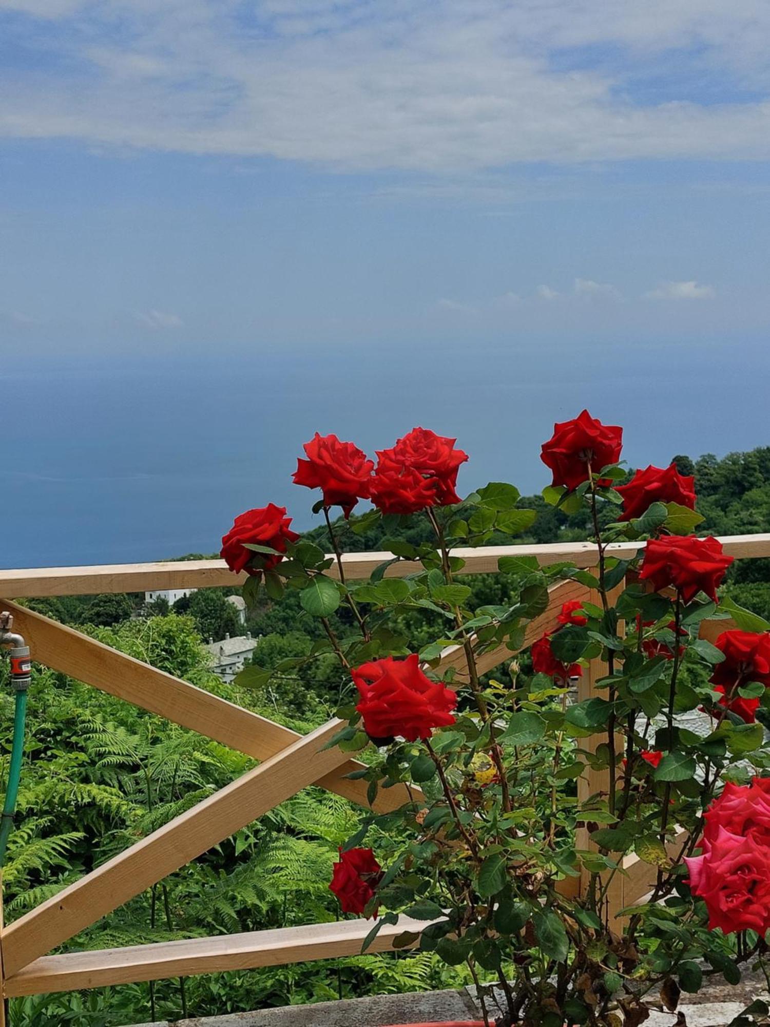 Θαλλώ Luxurious Villa 차가라다 객실 사진